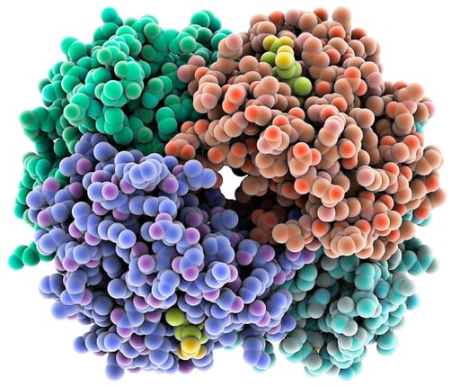 Simplified image of protein (hemoglobin)