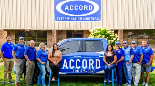 Accord Extermination pest control team available in Westmount