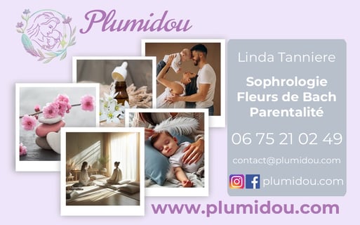 carte de visite plumidou