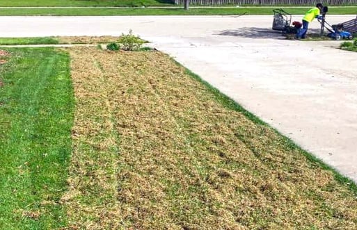 Grass dethatching