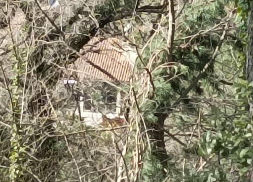 The house below