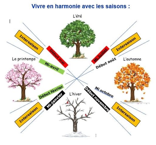 Saison et Médecine chinoise Crolles Acupuncture