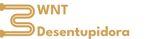 WNT DESENTUPIDORA logo