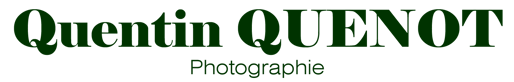 Quentin QUENOT logo