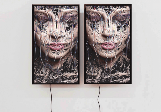 digital art, video installation,  joanna wlaszyn