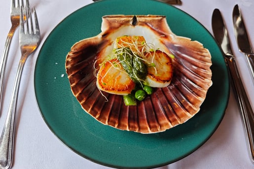 Three seared scallops in shell on a green plate