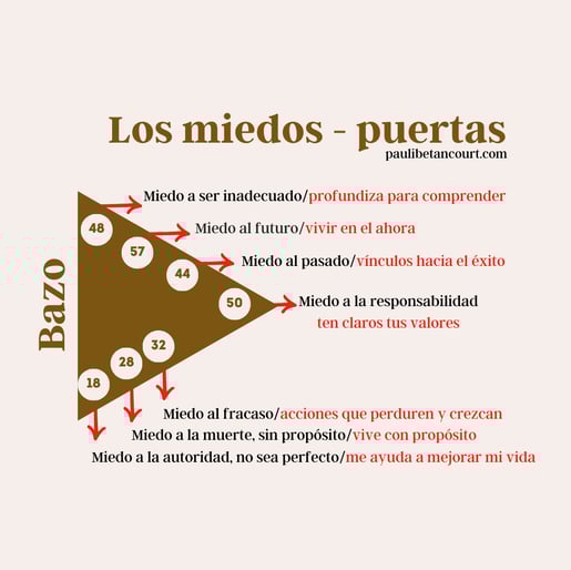 Miedos del bazo, autoridad esplénica diseño humano