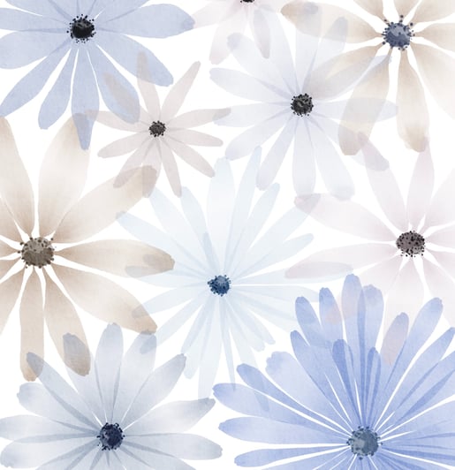 a bunch of camomile flowers that are on a white background