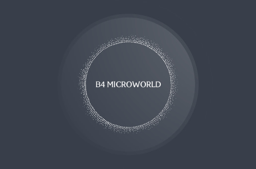 B4 Microworld logo