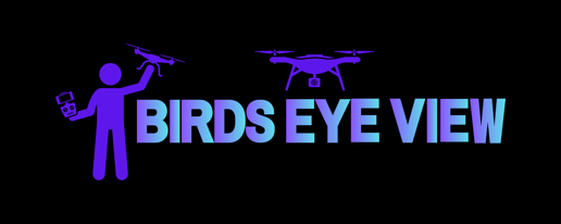 Birds Eye View logo