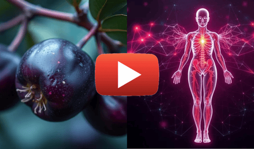 anthocyanins protect mitochondria