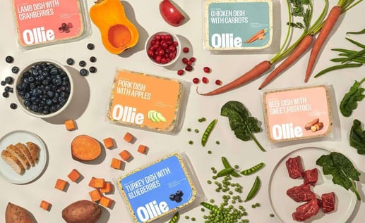 Ollie Lab and Cranberries dog food