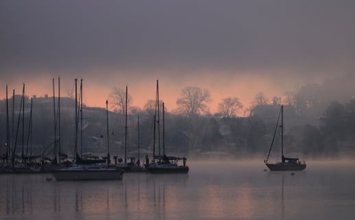 a group of sailboats in the water