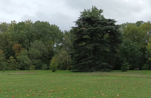 The parc Azay le Rideau