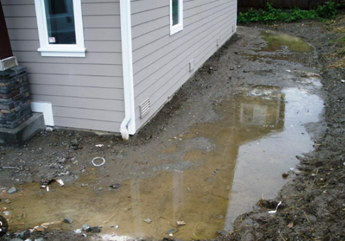 Water Pooling Around House