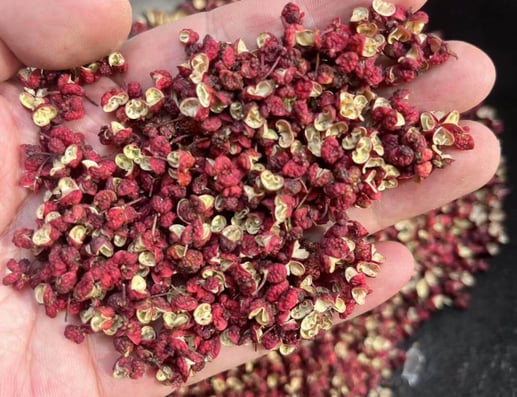 a person holding a bowl of dried Szechuan Pepper