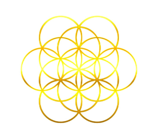 psycedelic guidance logo