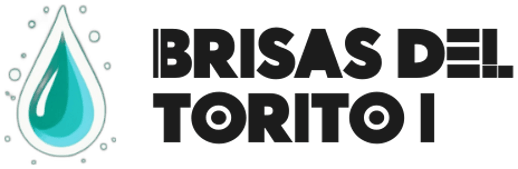 BRISAS DEL TORITO I INC. logo