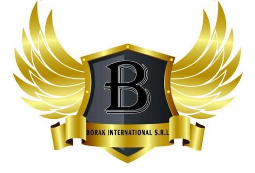Borak International SRL logo