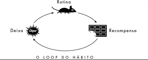 Charles Duhigg, em O Poder do Hábito