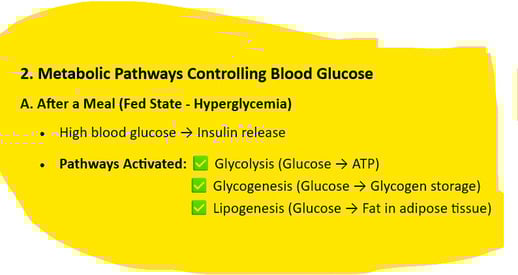 Fed State - Hyperglycemia