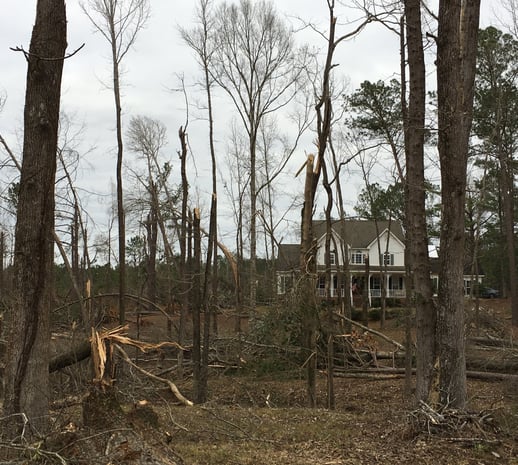 Donate to Tornado Disaster Relief in Alabama.