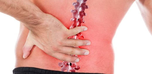 My Success Story with a Bulging Disc - autophagy herniated disc