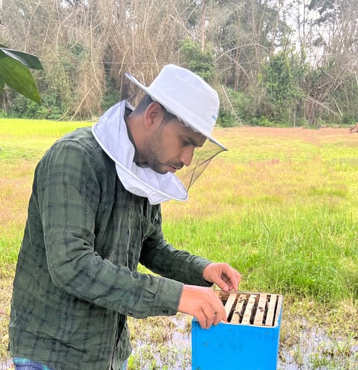 beekeeper forest background yellow and green vally in nilgiris