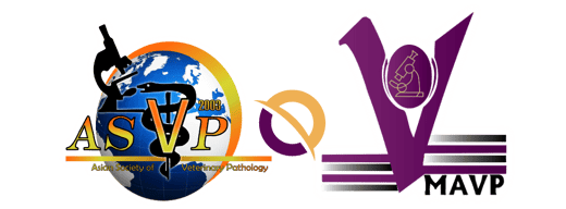 MAVP logo