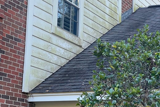 Mildew on House The Woodlands