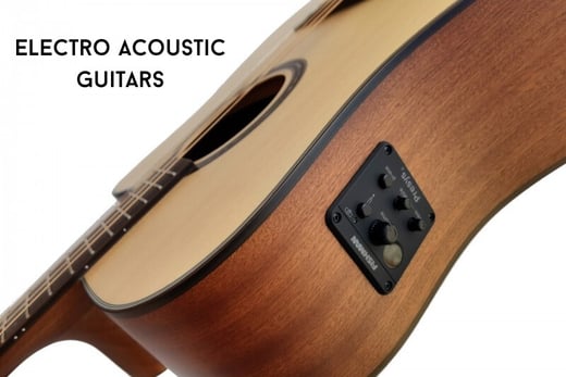 egmond electro acoustic guitars