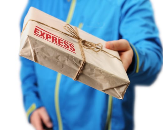 Express delivery services in Malaysia