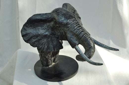 Oeuvre d'art tête d'éléphant en bronze par artiste animalier