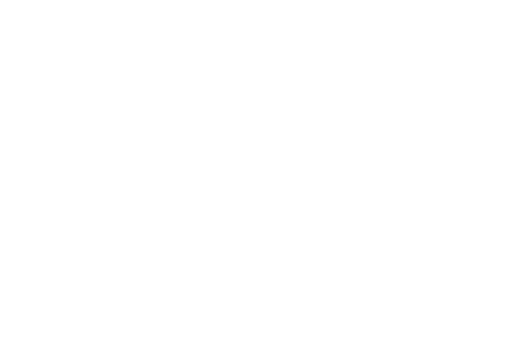 Xinaptica logo