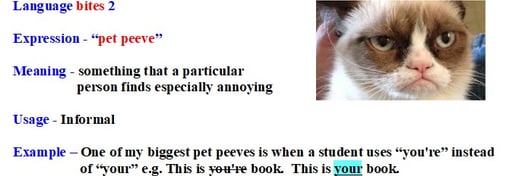 english expression  - pet peeve