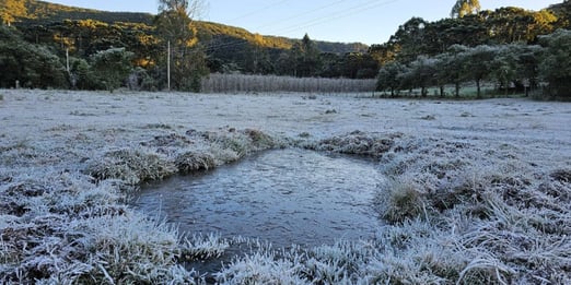 a field with a small stream of water in the middle of the field