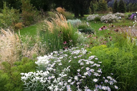 Massif fleuri composé de vivaces, graminées et arbustes dans un jardin paysager naturel
