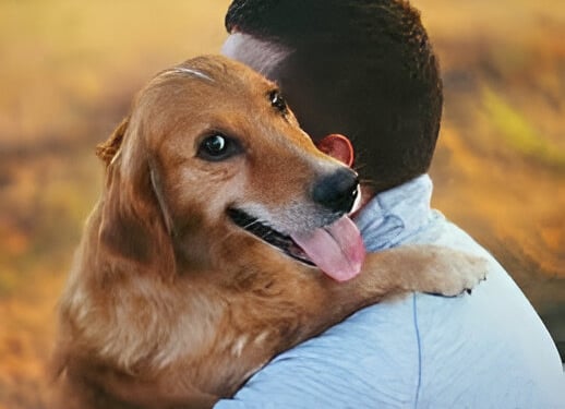 cómo saber si mi perro me quiere