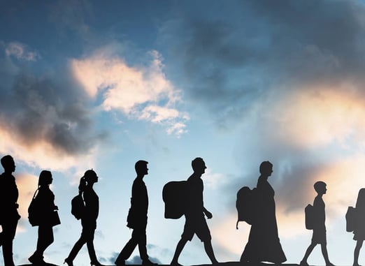 migración