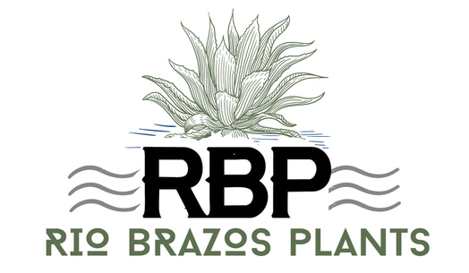 Rio Brazos Plants logo