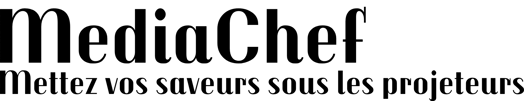MediaChef logo