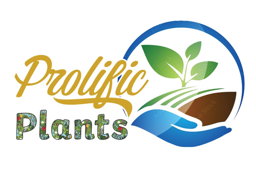 ProlificPlants.in logo