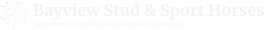 Horse Breeding logo