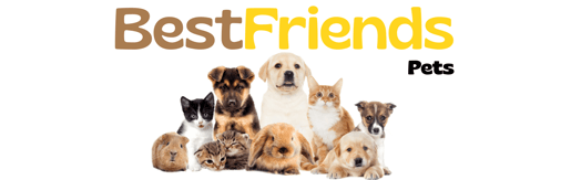 bestfriends logo