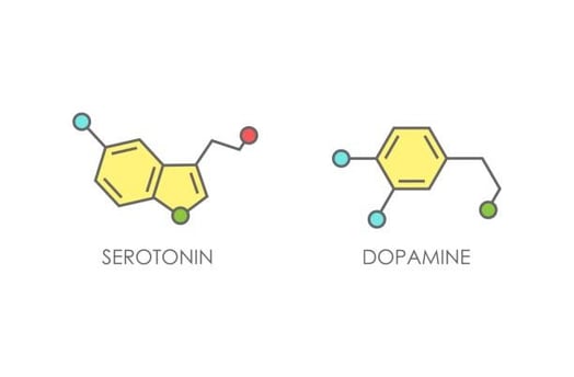 Serotonin ve dopamin beyin kimyasını etkileyen ruh halinden motivasyona kadar birçok süreci düzenleyen nörotransmitterlerdir