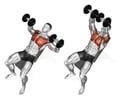 https://thumbs.dreamstime.com/m/exercising-dumbbell-bench-press-lying-incline-bench-bodybuilding-tar