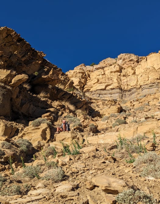 tarantula mesa, hayduke, backpacking