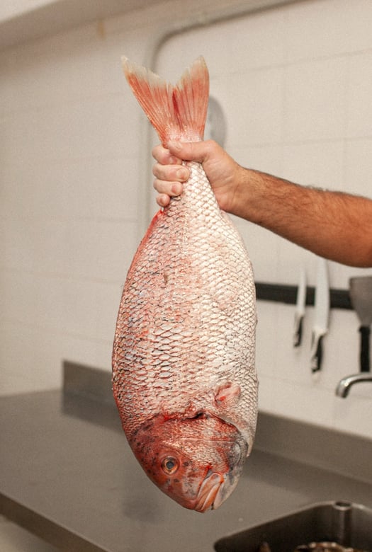 Pescado fresco para disfrutar entre amigos de un suculento plato de gastronomía de primer nivel    