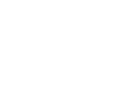 International Executive School logo