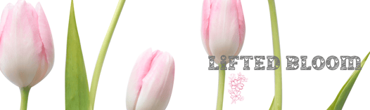 Lifted Bloom logo